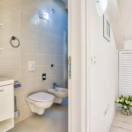 Modern Townhouse Borik 罗维尼